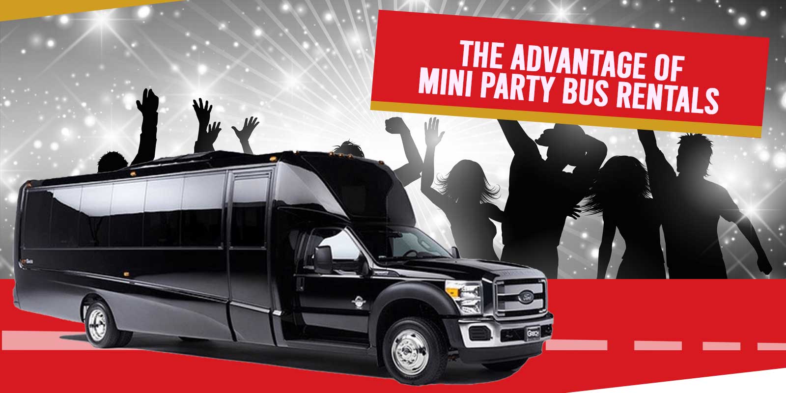 Mini Party Bus Rentals